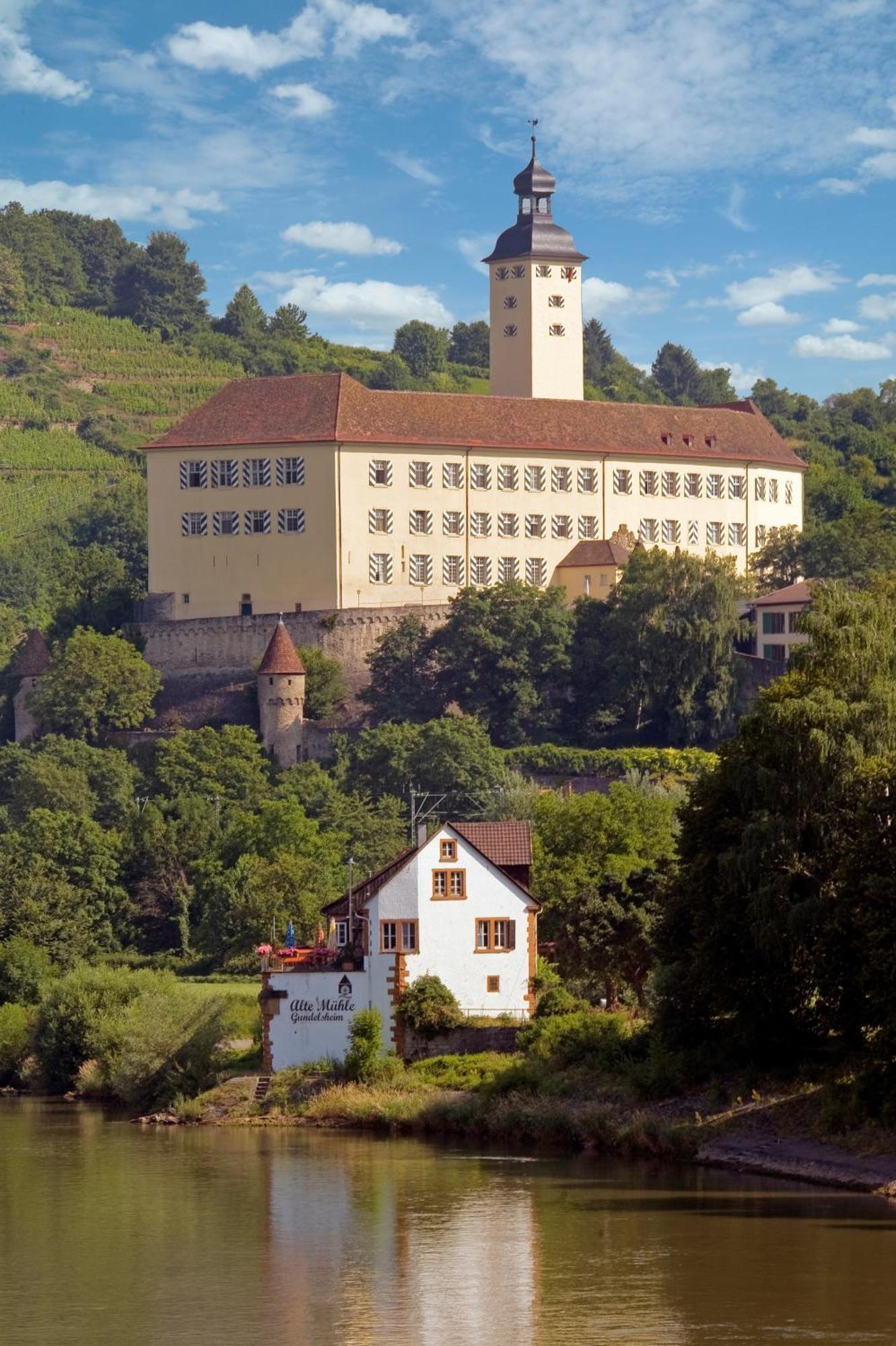 Schell Schokoladen Hotel Gundelsheim  Exterior photo